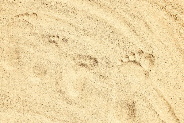 在大自然的背景下 画在靠近大海的沙滩上 度假时手绘脚印 — 图库照片