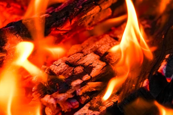 Feuer Mit Kohlen Und Feuer Auf Natur Picknick Hintergrund Brennt — Stockfoto