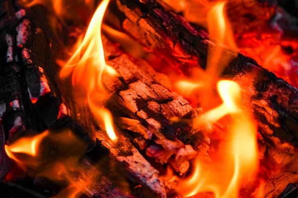 Feuer Mit Kohlen Und Feuer Auf Natur Picknick Hintergrund Brennt — Stockfoto