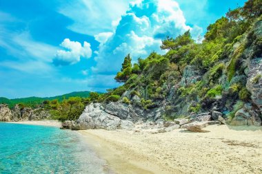 Parktaki arka planda deniz kenarında güzel bir doğa.
