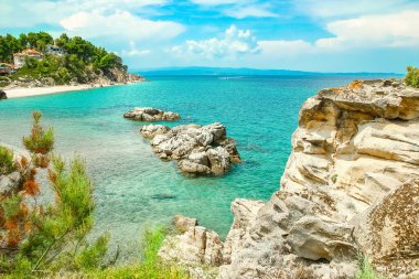 Parktaki arka planda deniz kenarında güzel bir doğa.