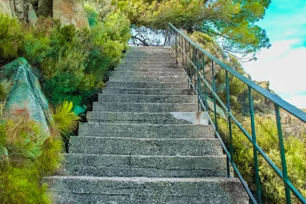 beautiful steps by the sea on nature in the park background