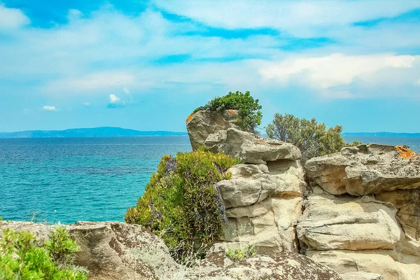 Vakker Natur Ved Havet Naturen Parkens Bakgrunn – stockfoto