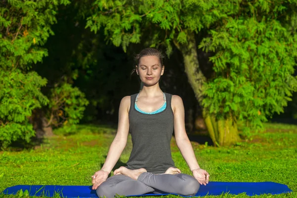 Slim gadis sporty bermeditasi damai melakukan latihan yoga Stok Lukisan  