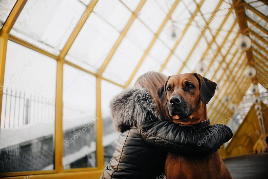 woman hugging a rhodesian ridgeback dog outdoors