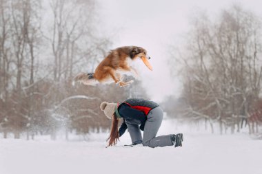 Kızıl Sınır çoban köpeği ve sahibi kış yürüyüşünde oynuyorlar.