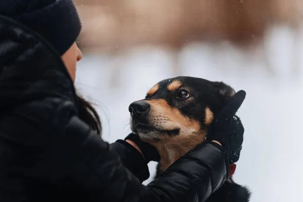Ägare klappa sin hund kärleksfullt utomhus på vintern — Stockfoto
