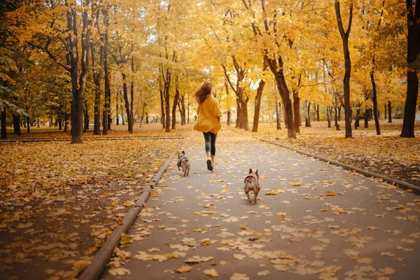 Woman walking her dogs in an autumn park — Stock Photo, Image