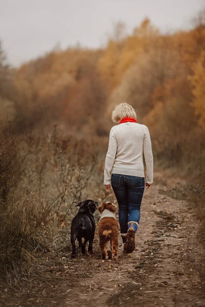 Woman walking two dogs in an autumn forest — Stock Photo, Image