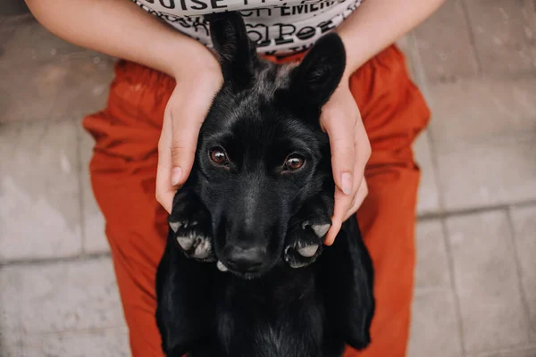 Sahiplerinin kucağında siyah melez köpek portresi — Stok fotoğraf