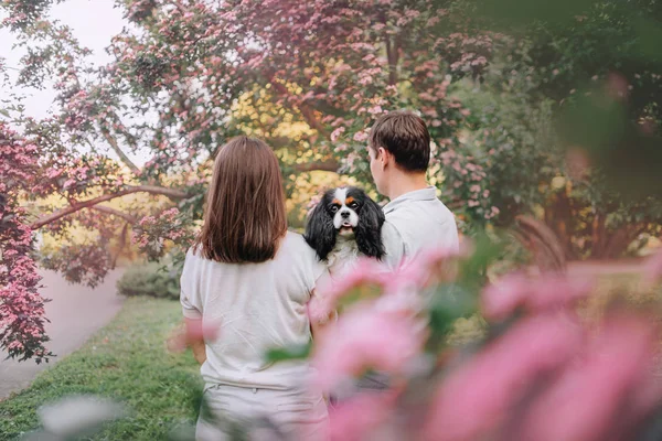 Jong stel en hond staan in bloeiende bomen, achteraanzicht — Stockfoto