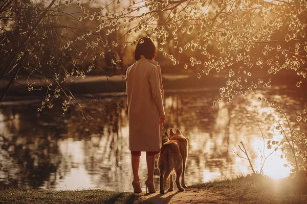 Young woman and her dog standing by the river at sunset, rear view — Stock Photo, Image