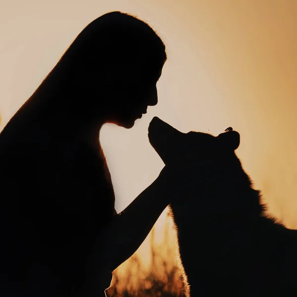 Woman and dog silhouettes outdoors in summer — Stock Photo, Image