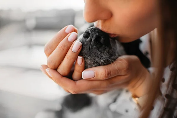 Ung kvinna kysser hund näsa på nära håll — Stockfoto