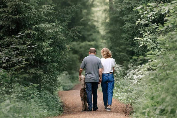 Couple walking in the forest with their dog, rear view — Stock Photo, Image