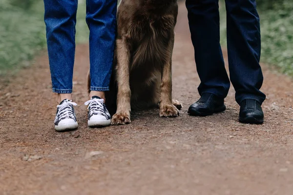 Hund sitter mellan två ägare ben, närbild — Stockfoto