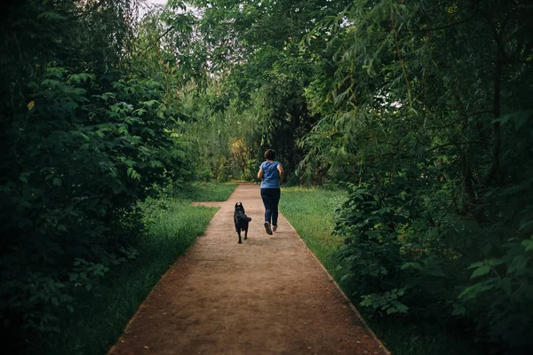 Woman and her dog jogging in the park, rear view — Stock Photo, Image