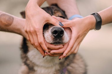Sahipleri köpek burnunun etrafında el ele tutuşuyor.