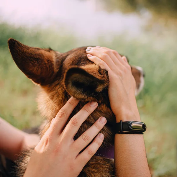 Dueños acariciando al perro amorosamente, concepto de amar a un perro — Foto de Stock