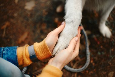 Köpeğinin patisini elinde tutan kadının en üst görüntüsü.