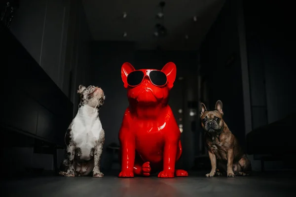 Two french bulldog dogs posing with a figurine — Stock Photo, Image