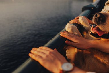 İnsan ellerine ve köpek patilerine yakın köprüde güneş ışığında tırabzanlar