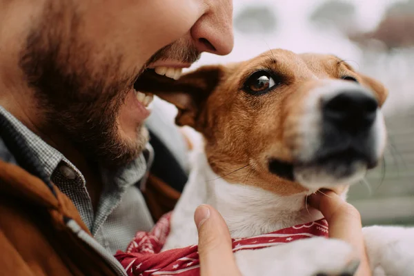 Zabawny właściciel gryzie Jack Russell Terry pies ucho — Zdjęcie stockowe