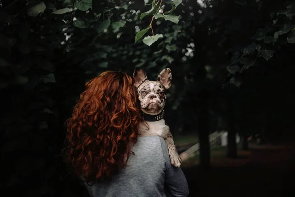 Mulher sagacidade encaracolado cabelo vermelho segurando um bulldog francês ao ar livre — Fotografia de Stock