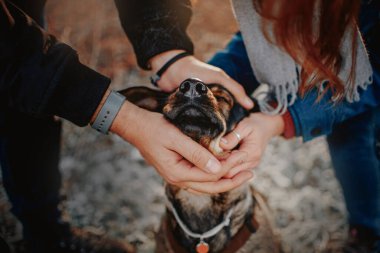 Sahipleri açık havada melez köpeklerini okşuyor.