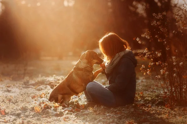 Kvinna och hennes blandade ras hund poserar utomhus i solljus tillsammans — Stockfoto