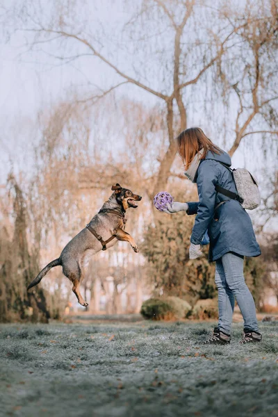 Ung kvinna leker med sin hund utomhus — Stockfoto