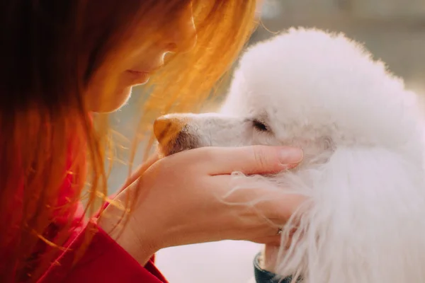 Kadınlar ve kaniş köpekleri, açık havada, güneş ışığında, yumuşak bir odak ile portre çekerler. — Stok fotoğraf