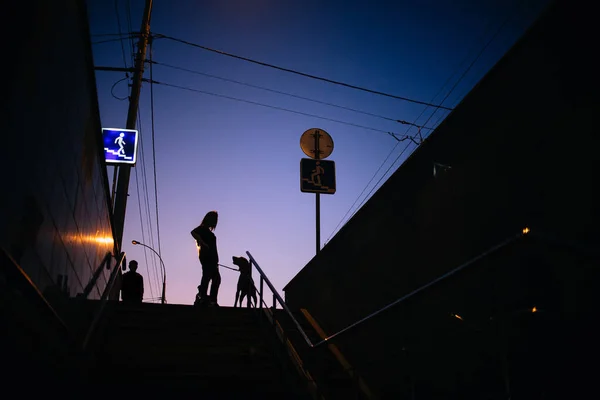 Mulher e cão em pé por sinais de rua ao ar livre à noite — Fotografia de Stock