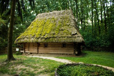 eski kırsal Ukrayna ev