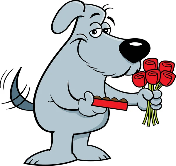 Ilustracja Rysunkowa Uśmiechniętego Psa Trzymającego Pudełko Czekoladek Bukiet Róż — Wektor stockowy