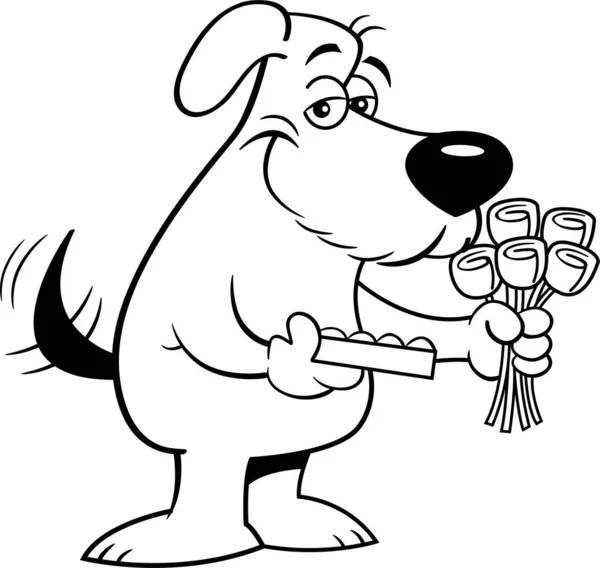 Чорно Біла Ілюстрація Усміхненої Собаки Тримає Коробку Цукерок Букет Троянд — стоковий вектор
