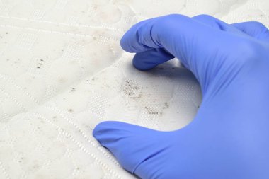 Yatağın üstünde küf ve toprak lekeleri var. Beyaz kumaşta mantar. Mavi tıbbi eldiven.  