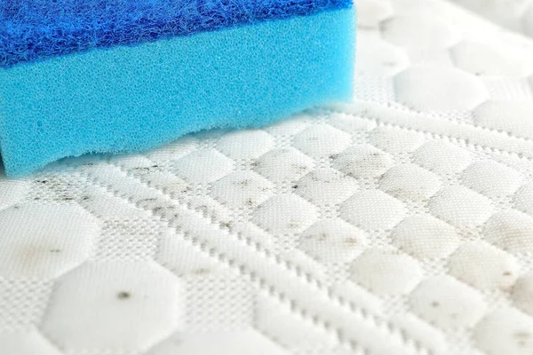 Retire Las Manchas Colchón Utilice Esponja Para Limpiar Tela Hongos — Foto de Stock
