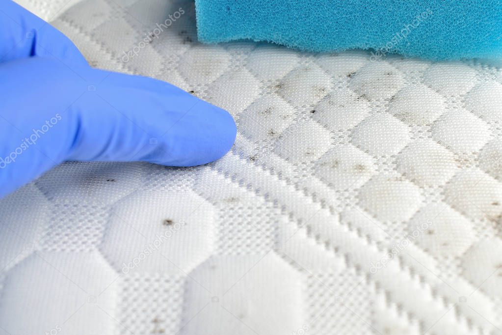 Removing stains on the mattress. Use sponge to clean fabric of fungus or mud. Finger pointing the spot.
