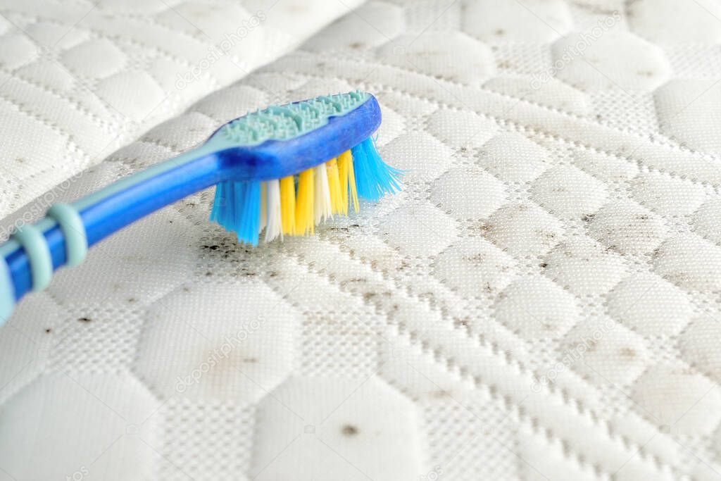 Removing fungus stains from the mattress`s surface with a brush. 