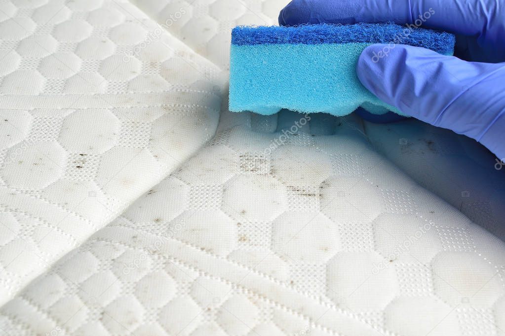 Removing mould stains from the mattress with a sponge. Fungus, mildew, mold or dust.