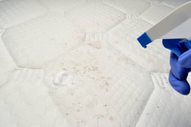 Yatak temizleyici sprey. Döşek bezini köpük leke çıkarıcı ile temizlemek. El tetiği çeker.. 