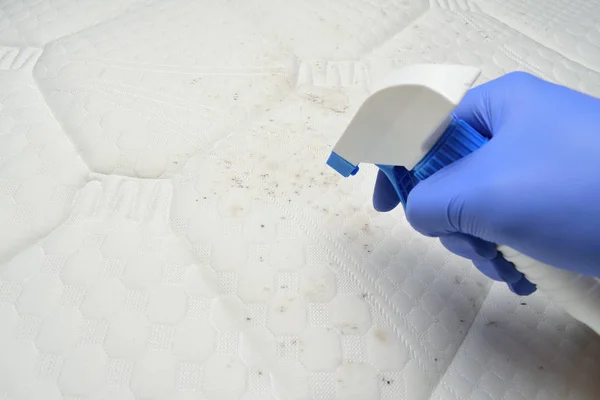 Limpieza Una Tela Colchón Con Quitamanchas Espuma Mano Aprieta Gatillo — Foto de Stock