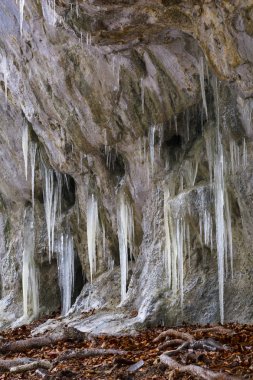 Kuzey Slovakya Velka Fatra milli parkta buz oluşumları Mazarna mağara.
