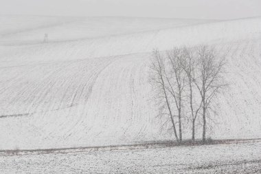 Kuzey Slovakya 'daki Turiec bölgesinin kırsal manzarası