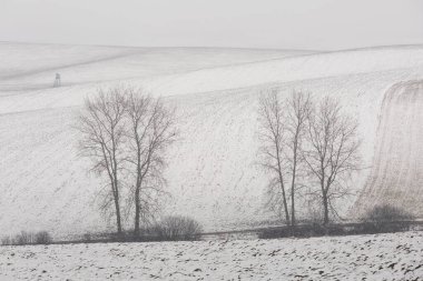 Kuzey Slovakya 'daki Turiec bölgesinin kırsal manzarası