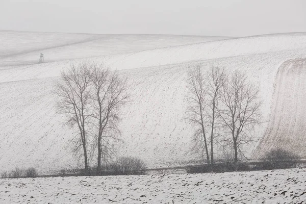 Rural Landscape Turiec Region Northern Slovakia — Stock Photo, Image