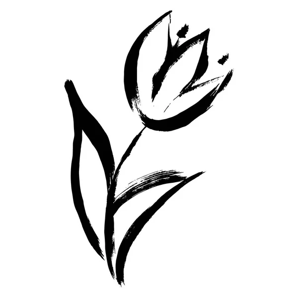 Vectorillustratie. Verf tulp, voorjaar bloem — Stockvector