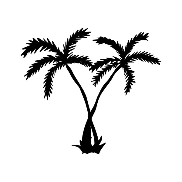 Ilustración vectorial. Icono de palmas. Mano dibujar palmas tropicales — Archivo Imágenes Vectoriales