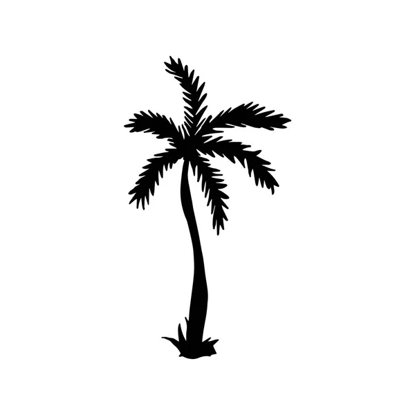 Vectorillustratie. Palm pictogram. Hand tekenen tropische palm — Stockvector